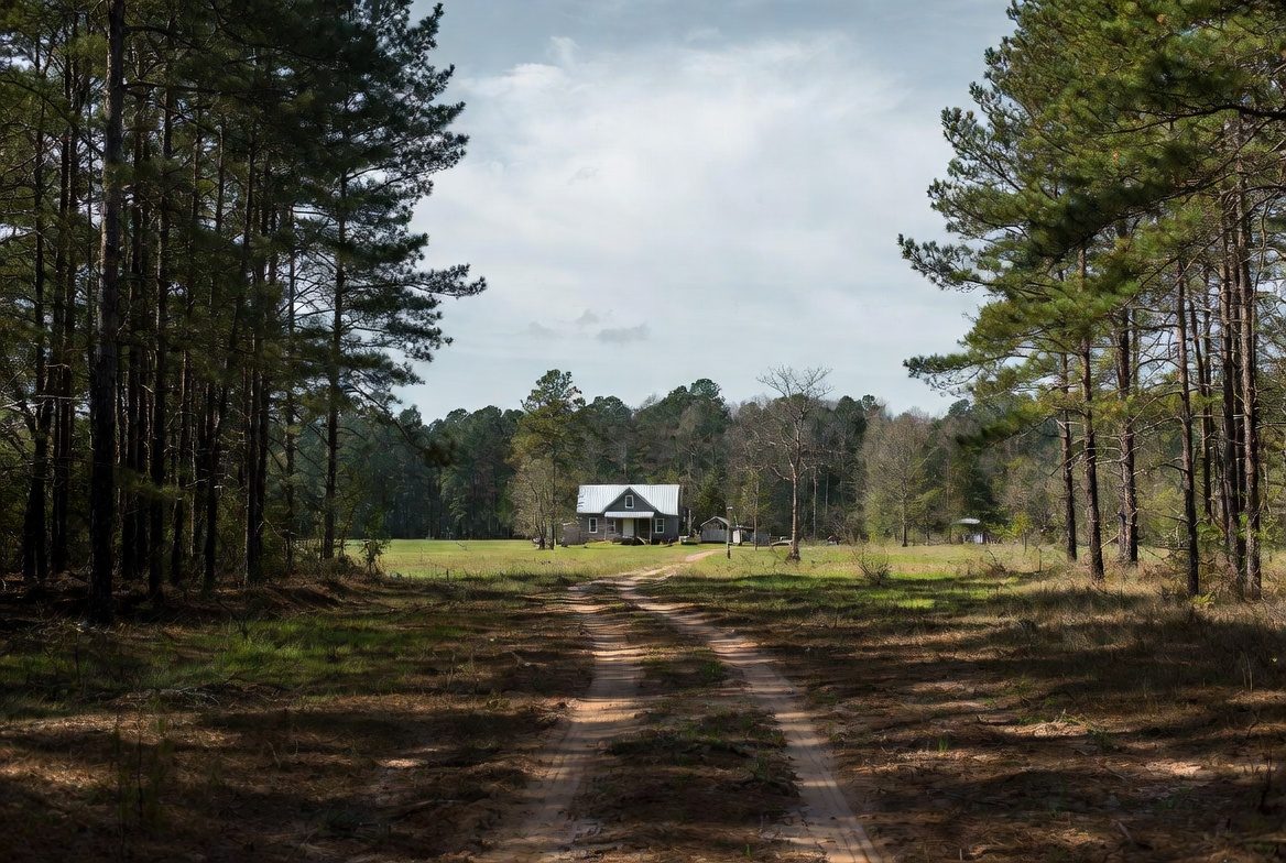 Farmhouse with metal roof among pines in George County, Mississippi
